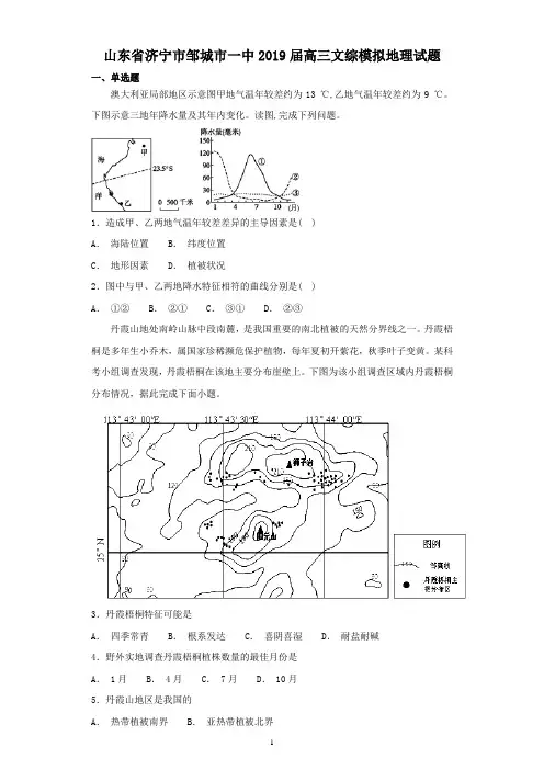 山东省济宁市邹城市一中2019届高三文综模拟地理试题及答案(WORD版)