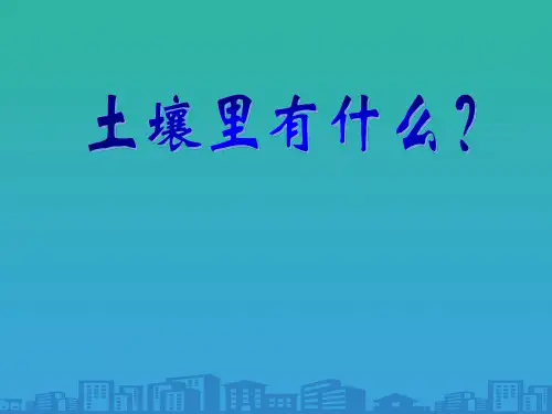 《土壤里有什么》PPT课件
