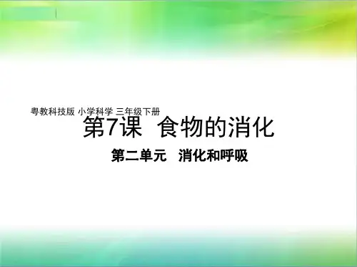 粤教版小学科学新版三年级下册科学第7课《食物的消化》教学课件
