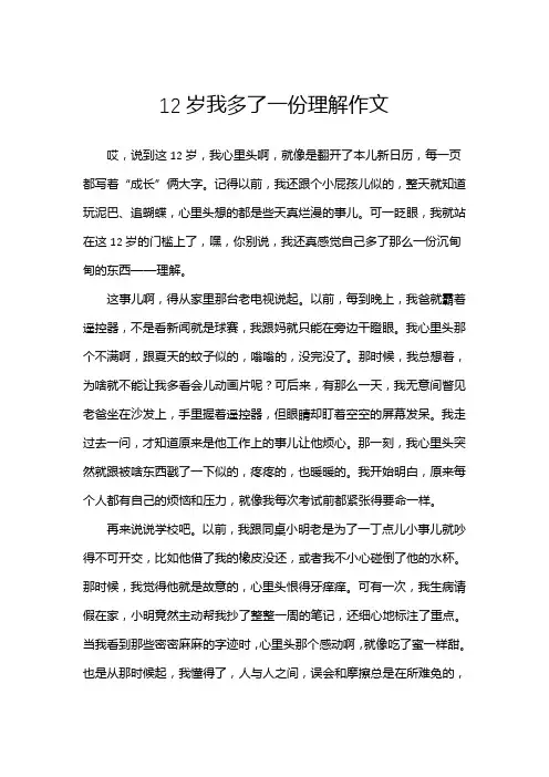 12岁我多了一份理解作文
