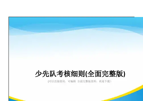 少先队考核细则(全面完整版)