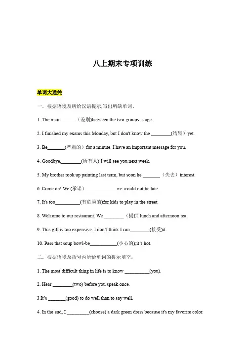期末专项训练 人教版英语八年级上册(无答案)