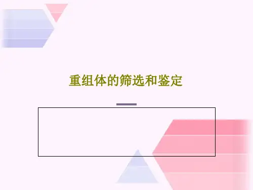 重组体的筛选和鉴定81页PPT