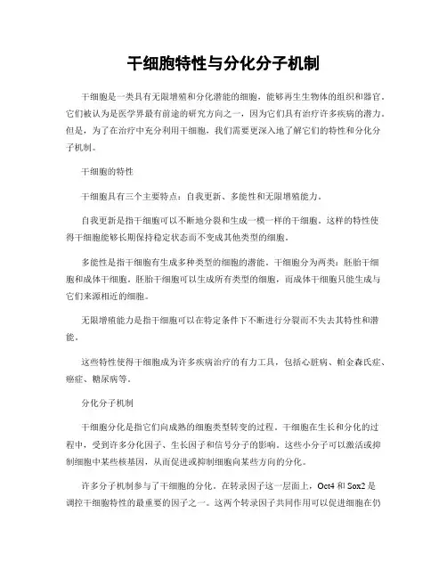 干细胞特性与分化分子机制