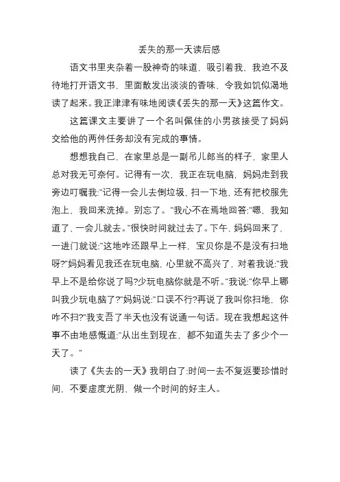 丢失的那一天读后感