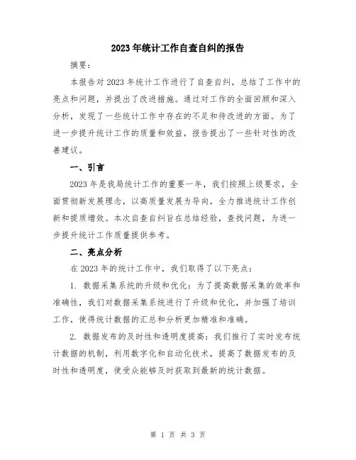 2023年统计工作自查自纠的报告