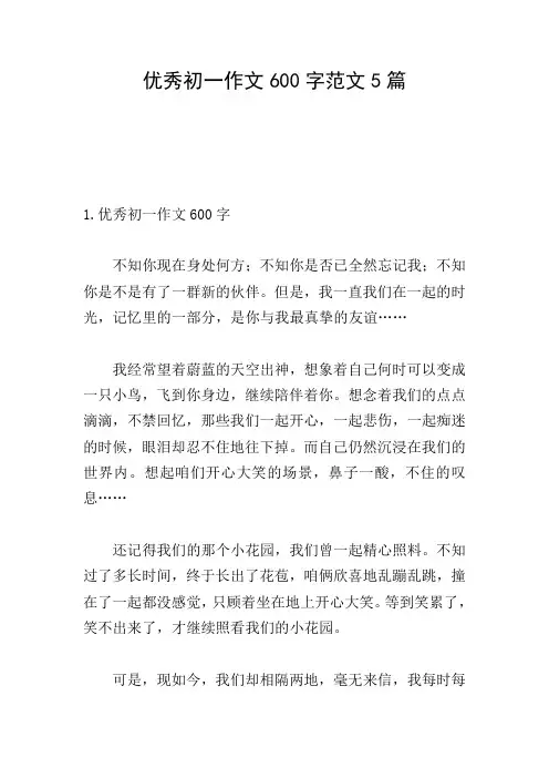 优秀初一作文600字范文5篇