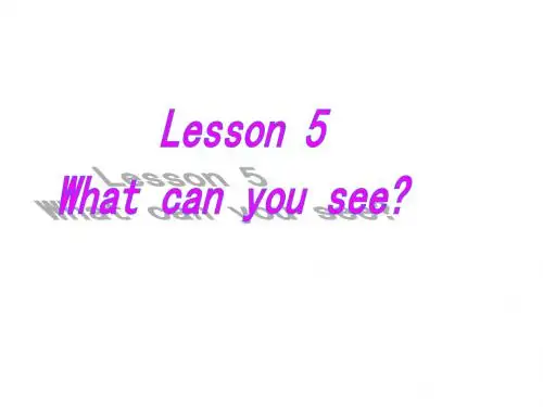 优选教育四年级上册英语课件-Lesson 5《What can you see》｜科普版(三起)    (共11张PPT).ppt