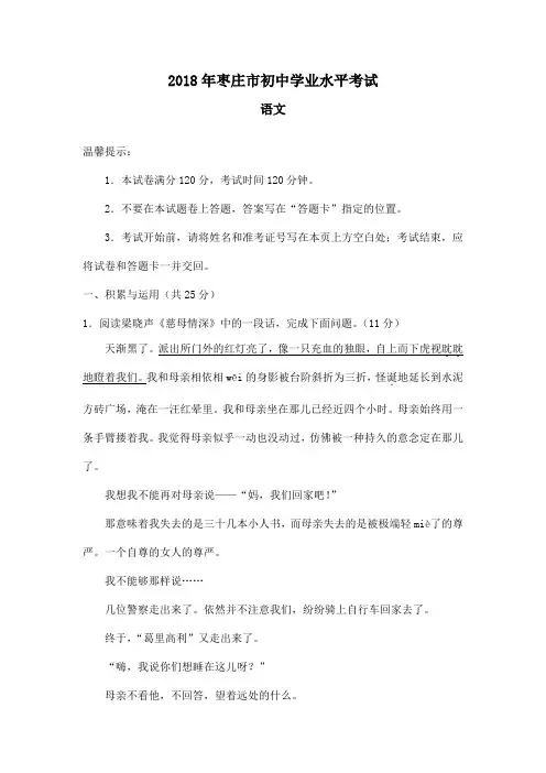 山东省枣庄市2018年中考语文试题(word版,含答案)