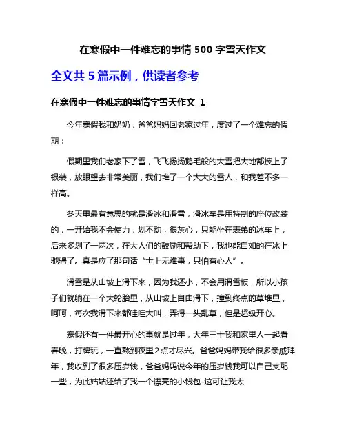 在寒假中一件难忘的事情500字雪天作文