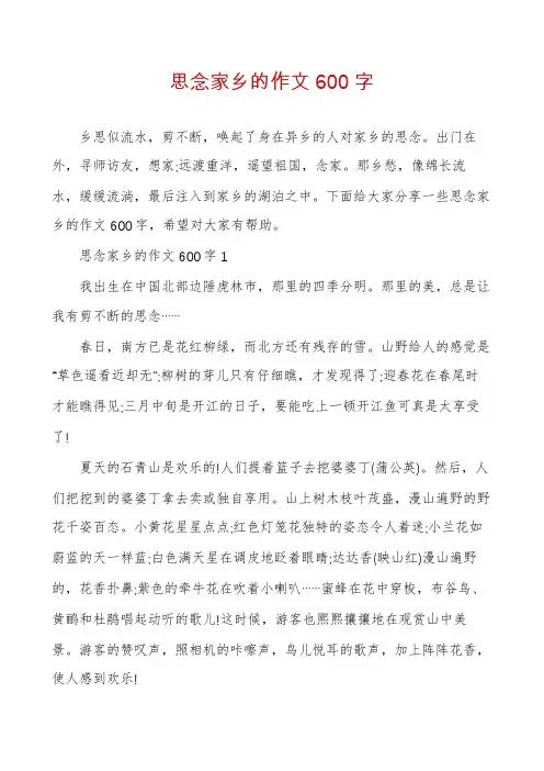 思念家乡的作文600字