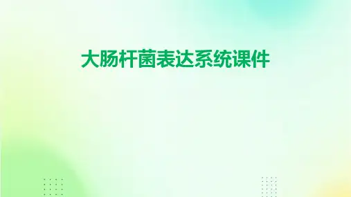 大肠杆菌表达系统课件