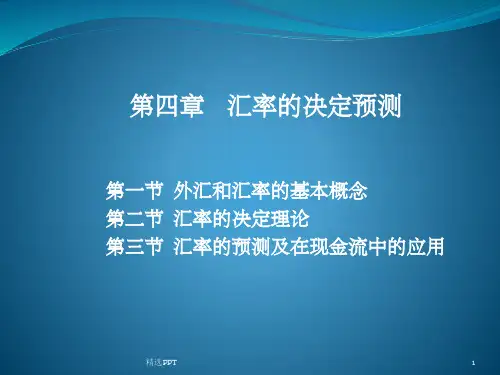 《国际金融》PPT课件