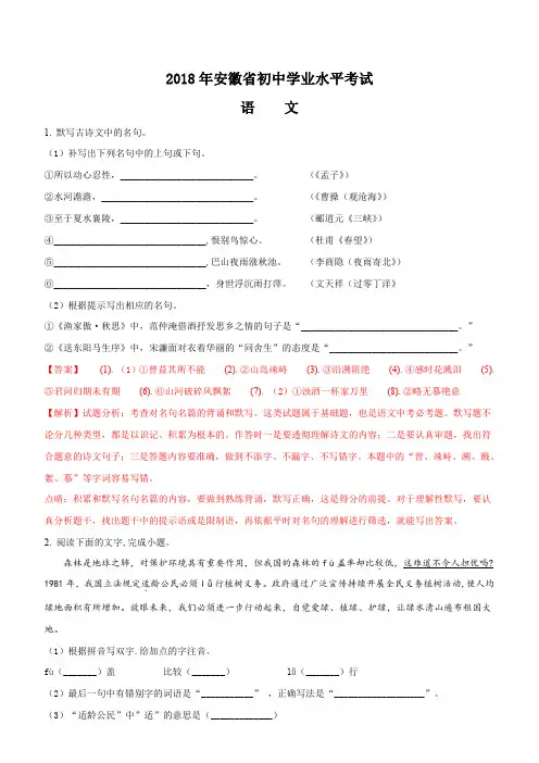 2018年安徽省初中学业水平考试语文试题含答案解析