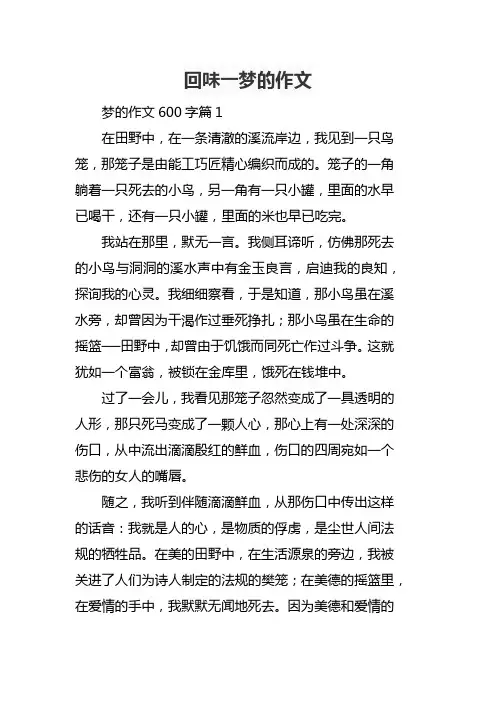 回味一梦的作文