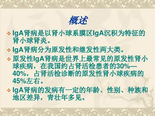 IgA肾病的诊疗和治疗培训讲义