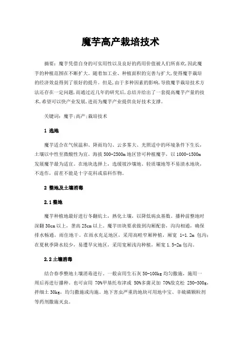 魔芋高产栽培技术