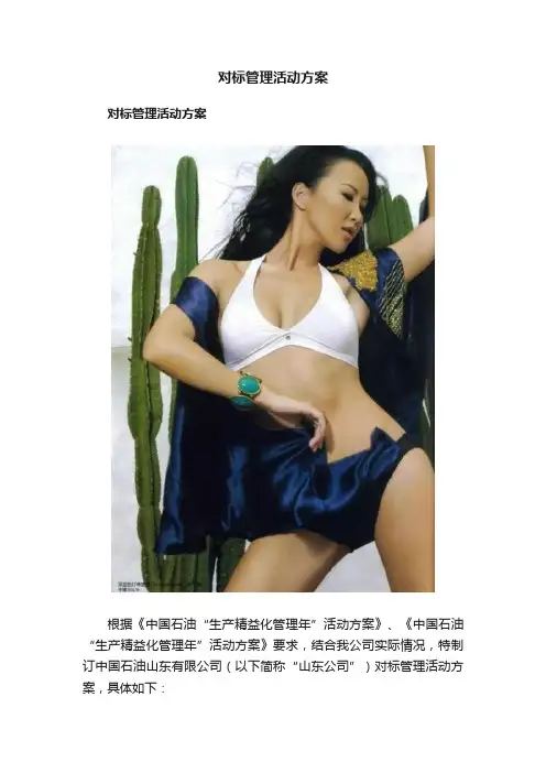 对标管理活动方案