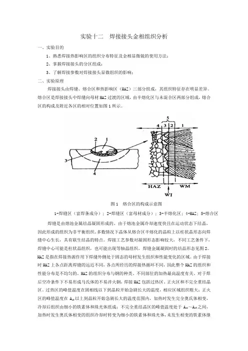 焊接接头金相组织分析