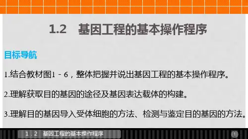 高中生物 专题一 基因工程 1.2 基因工程的基本操作程序课件 新人教版选修3