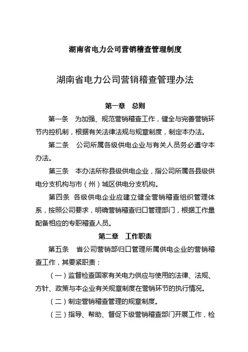 湖南省电力公司营销稽查管理制度