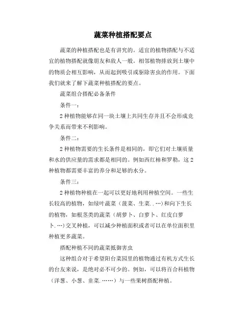 蔬菜种植搭配要点