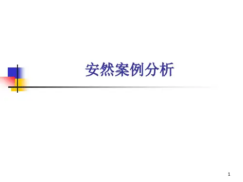 安然案例分析