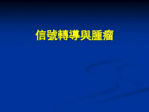 肿瘤病理生物学课件：信号转导与肿瘤