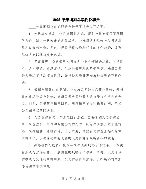 2023年集团副总裁岗位职责