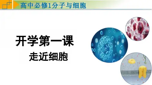 人教版必修1 开学第一课1.1 走近细胞(课件共22张PPT)