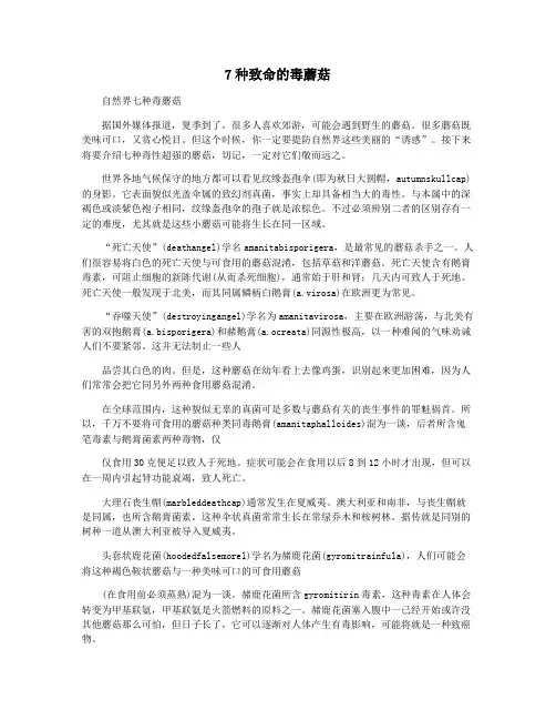 7种致命的毒蘑菇