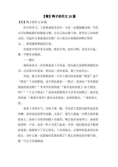 鸭子的作文10篇