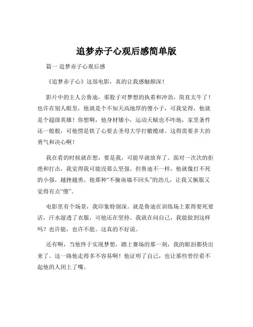 追梦赤子心观后感简单版