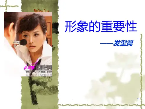 发型篇ppt课件