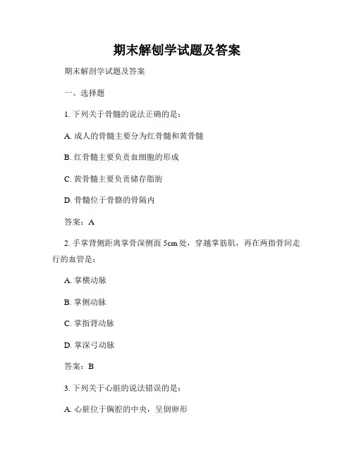期末解刨学试题及答案