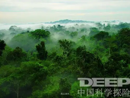 经典自然地理环境的整体性PPT.ppt