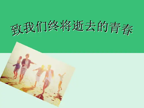 小说介绍《致我们终将逝去的青春》PPT课件