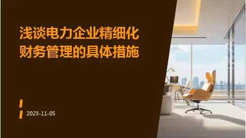 浅谈电力企业精细化财务管理的具体措施
