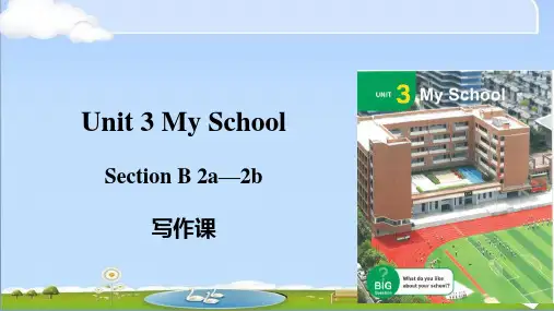 新人教版英语七年级上册 Unit 3 第五课时 Section B 2a-2b