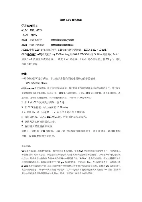 GUS 组织化学染色-拟南芥