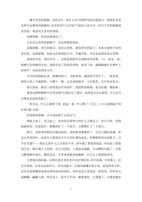 秃的梧桐阅读答案(最新)