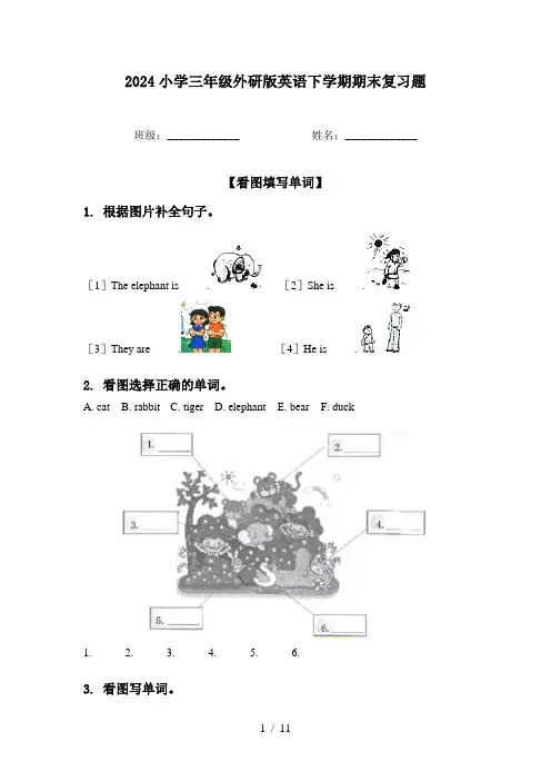 2024小学三年级外研版英语下学期期末复习题