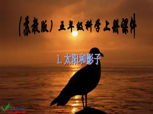 《太阳和影子》PPT