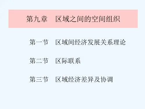 11经济地理第九章