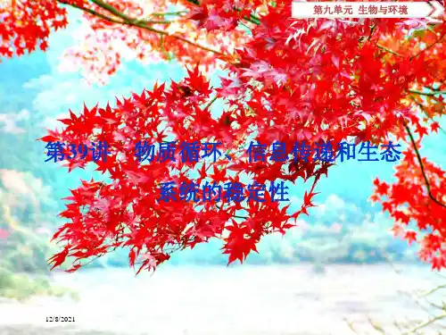 高考生物大一轮复习 第九单元 生物与环境 第39讲 物质循环、信息传递和生态系统的稳定性课件