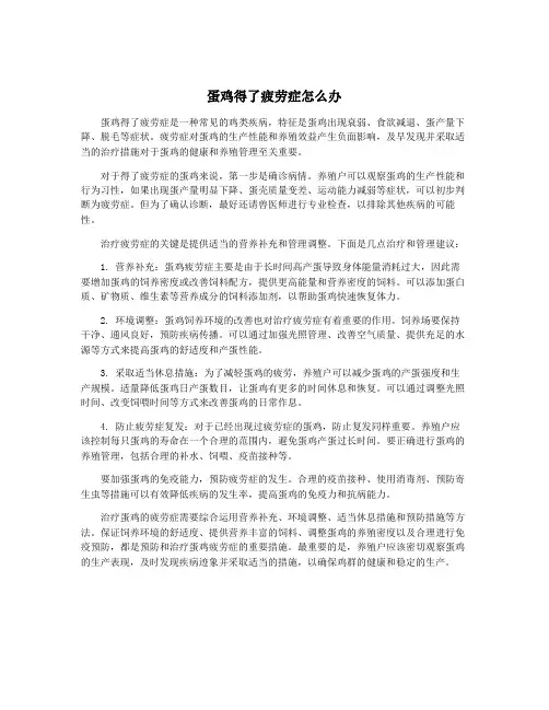 蛋鸡得了疲劳症怎么办