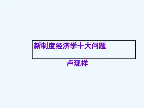 卢现祥新制度经济学的十大问题