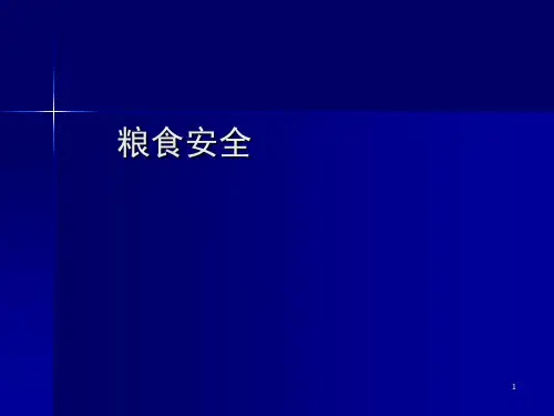 粮食安全PPT教学课件