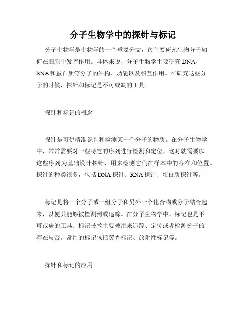 分子生物学中的探针与标记