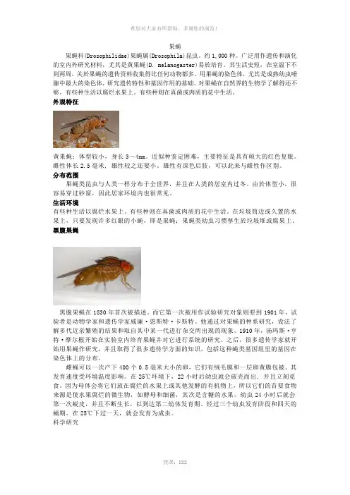 果蝇的知识
